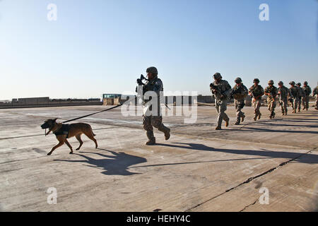 Dirigé par Sonjia, un chien de travail militaire, des soldats du 1er bataillon du 112e Régiment d'infanterie, 56e Stryker Brigade Combat Team, se déplacer sur une aire d'atterrissage pour charger jusqu'à une paire de UH-60 Black Hawk helicpters à partir de la 3e Bataillon, 1st Air Cavalry Brigade, Division de cavalerie, sur Camp Taji, l'Iraq, le 3 juin. Dans cette première mission assualt air pour la 1ère PBR, les Black Hawks et arieal transport fournissent la sécurité pour les soldats de la 56e BCT. 1St Air Cavalry Brigade effectue ses tout premiers air assault 177495 Banque D'Images