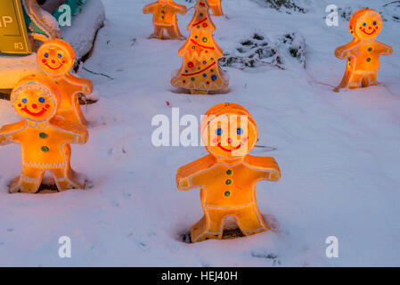 Affichage lumineux de Noël, soirées dans le parc Stanley, Vancouver, Colombie-Britannique, Canada. Banque D'Images