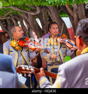 (10-12) Les joueurs de violon Jardin Place de la Ville San Miguel de Allende au Mexique. Banque D'Images