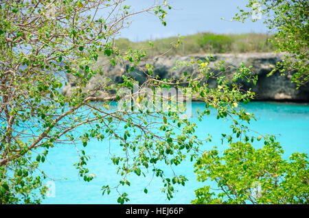 Grand Knip Beach à Curaçao dans les Antilles néerlandaises, une île des Caraïbes. Banque D'Images