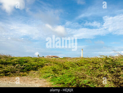 Le vieux phare California blanc à Aruba désert, au nord de l'Aruba Banque D'Images