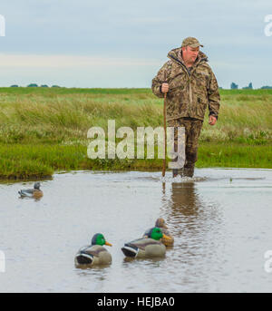 Un wildfowler UK, ou chasseur de canard, plaçant des leurres sur l'eau à l'aide d'un pôle à gué Banque D'Images