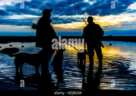 Silhouette de UK de gibiers ou de canard, tireurs et les chiens après une journée de tournage sur les marais Banque D'Images