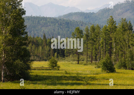 Champ, forêt et montagnes en vallée Tunka, Bouriatie, Russie Banque D'Images