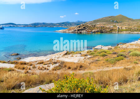 Les fleurs de printemps dans la belle ville de Monastiti Bay sur l'île de Paros, Grèce Banque D'Images