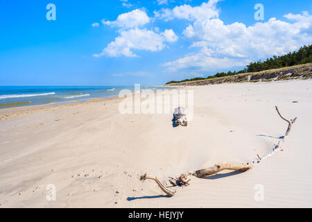 Les troncs d'arbre sec sur la plage de sable blanc en Lubiatowo village côtier, mer Baltique, Pologne Banque D'Images