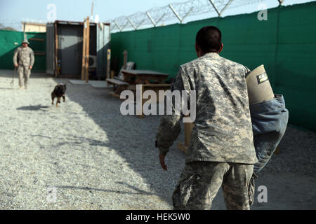 La Marine américaine Maître de 2e classe de la Compagnie de Police Militaire 415l'armée américaine et la FPC. Erik Leon de la 230e compagnie du génie train avec Doly le chien à base d'exploitation Foward Fenty à Jalalabad, en Afghanistan, le 10 septembre. Formation 318116 K-9 Banque D'Images