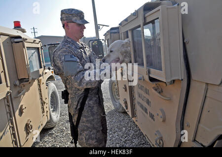 La province de Parwan, Afghanistan - ARMÉE AMÉRICAINE PFC. Raborne Vignes, 54e bataillon du génie, Groupe de travail de l'aumônier Dolch assistant et natif d'Abbeville, Ala., passe du temps de qualité avec Sir Fred, un chien de travail militaire affecté à TF Dolch 49e Détachement de la détection de mines, avant un exercice conçu pour garder des chiens de détection de mines sens forte de Bagram Airfield, Afghanistan, le 15 décembre. La Reine d'Angleterre fait chevalier Sir Fred, un 10-year-old Golden Retriever qui a été l'un des premiers chiens de travail militaire britannique américains formés pour la détection des mines. Sir Fred a servi de MWD pendant plus de t Banque D'Images