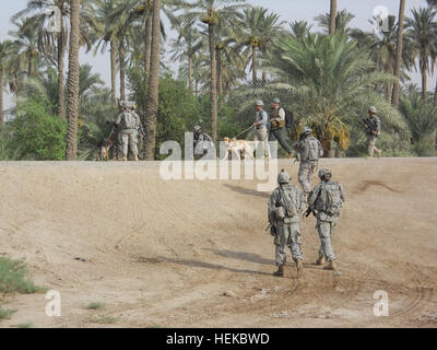 Des soldats de la compagnie Bulldog, 3e Bataillon, 8e régiment de cavalerie, 3e Brigade d'aider et de conseiller, Division de cavalerie recherche à proximité de la ville d'Amara pour reste américain et britannique le 21 juillet 2011. Les soldats américains ont été rejoints par le personnel de l'armée iraquienne et les chiens de recherche utilisé et l'ingénieur équipement pour aider à la recherche. (U.S. Photo de l'armée par Slt Griffin Spencer) Cheval de troopers recherche de guerriers perdus en Iraq 435485 Banque D'Images