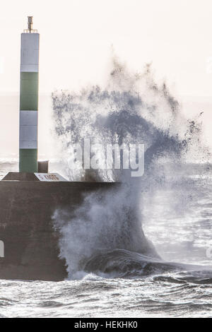 Aberystwyth, Pays de Galles, Royaume-Uni. 22 décembre 2016. Météo britannique. Que Storm Barbara, le deuxième ouragan de la saison, se renforce et les lecteurs à l'Écosse, du nord le bord du système clips Aberystwyth, sur la côte ouest du pays de Galles et, combiné avec la marée haute, les lecteurs d'énormes vagues de battre le front et mur du port sur à cette petite ville sur la côte de la Baie de Cardigan de la mer d'Irlande Royaume-Uni Photo © Keith Morris/Alamy Live News Banque D'Images