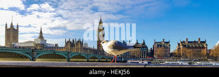 Londres, Royaume-Uni. Dec 22, 2016. Vue d'une mouette, Big Ben et les chambres du Parlement sur un jour d'hiver ensoleillé avec un ciel bleu au-dessus de Londres à l'approche de Noël. L'iconic London landmark sera subit une série de réparations au cours de la nouvelle année © Dinendra Haria/Alamy Live News Banque D'Images