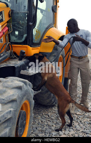 Jodelet Cesar, un Américain K-9 Services de détection de la Vega, République dominicaine, dirige sa partenaire Kyra pour vérifier un véhicule pour les stupéfiants lors d'un exercice d'entraînement qui a eu lieu sur la base d'opération avancée Lagman, Afghanistan, le 31 octobre 2012. AMK9 explosifs et stupéfiants les chiens sont une partie importante de l'emploi des mesures de protection de la force sur la base. Les chiens et leurs maîtres former six jours par semaine pour s'assurer qu'ils ne cessent de perfectionner leurs aptitudes. (U.S. Photo de l'armée par le Sgt. Lori Bilyou) Canines bien les militaires, sécuritaires smiling 121031-A-BF245-908 Banque D'Images