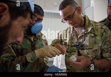 Le capitaine de l'Armée Américaine Abby Raymond, un dentiste de la brigade avec le 4e Brigade Combat Team, 101st Airborne Division (Air Assault), utilise un modèle en plâtre qu'il a créée pour montrer infirmiers afghans avec le 2e Bataillon Commando, 203e Corps, Armée nationale afghane, la façon d'extraire une dent à une classe de soins dentaires de base à la base d'opérations avancée Thunder, dans la province de Paktia, Afghanistan, le 22 juillet 2013. (U.S. Photo de l'armée par le Sgt. Justin A. Moeller/libérés) commandos ANA reçoivent la formation dentaire 120723-A-DQ133-006 Banque D'Images