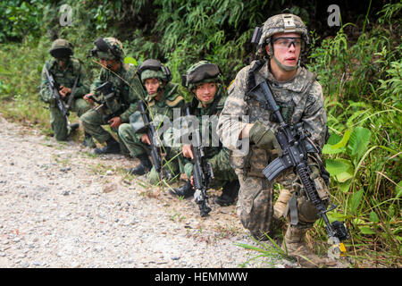 Circuit de l'armée américaine. Jeremy Butler, droite, un carabinier avec la Compagnie Bravo, 4e Bataillon, 23e Régiment d'infanterie, 2e Brigade, 2e Division d'infanterie de la jungle des sondages avec des soldats des Forces armées de Singapour affecté à la 2e Bataillon, Régiment d'infanterie de Singapour au cours de la formation sur le terrain dans le cadre de l'exercice, de la foudre à Amoy Quee Camp, Singapour, le 24 juillet 2013. Foudre est un peloton de l'armée américaine de taille moyenne du Pacifique parrainé l'événement qui permet aux soldats américains de Singapour et de partager des techniques militaires et de l'expérience. (U.S. Photo de l'armée par le sergent. Justin A. Naylor/relâché), Singapour toget travail Banque D'Images