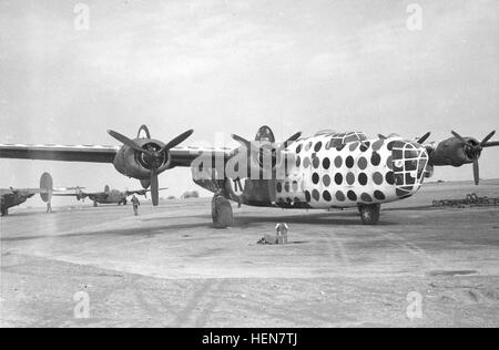 "Premier Sergent' a été une lasse de la guerre Consolidated B-24D utilisé pour assembler de grandes formations. Une fois que la formation a été formé, cet avion est retourné à la base. (U.S. Air Force photo) Le sergent B-24D Assemblée Générale Navire ou Judas Goat Banque D'Images