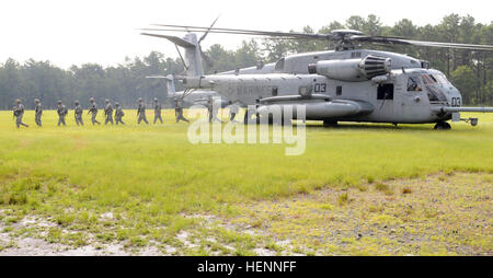 Soldats de la Compagnie Charlie sortie deux CH-53E Super Etalons de Marine Aircraft Group 49 au cours de la dernière mission de l'opération maintien en puissance 2014 Guerrier. Comme l'équipe gagnante pour l'OSW 2014, elles ont gagné le pont aérien vers leurs véhicules et procédé aux missions convoi lane où ils ont eu force opposée aux formateurs. Ces missions et événements dans OSW sont conçues pour pour actualiser les habiletés de base du soldat et promouvoir le maintien en poste. (Photo de la CPS. C. Terrell Turner, 214e MPAD) OSW 2014 opérations de transport aérien hélicoptère 140731-A-TD020-6123 Banque D'Images