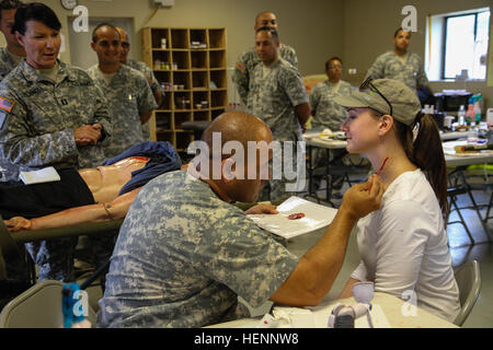 Divers dirigeants militaires américains et distingués invités au camp Atterbury manoeuvre conjointe de formation, Ind., regardez sur comme Un soldat démontre son moulage compétences vinaigrette, au cours d'une visite de l'Muscatatuck Urban Training Center, le 5 août, au cours de la réponse dynamique 14. La réponse dynamique est un Commandement du Nord des États-Unis, parrainé par l'armée américaine a mené un exercice d'entraînement du domaine chimique, biologique, radiologique, nucléaire et explosifs à haut rendement Gestion des conséquences visant des forces canadiennes d'améliorer leur capacité à répondre aux incidents catastrophiques. (Photo de l'Armée américaine : la CPS. Caitlyn Byrne, 27e fonction Af Banque D'Images