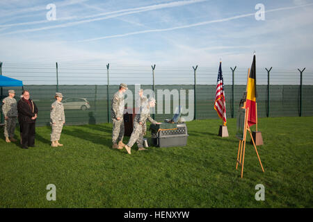 Le colonel de l'armée américaine Arturo Horton, de l'armée américaine l'Europe Provost Marshall et le Sgt. Le Major Adam Frahm, U.S. Army Bureau Europe de sergent-major le Prévôt, payer l'égard de chien de travail militaire Eros (M592) lors d'une cérémonie commémorative sur la base aérienne de Chièvres, chenil MWD à Chièvres, Belgique, le 31 octobre 2014. Eros MWD a été déployé trois fois pour l'opération Enduring Freedom, servi avec plusieurs communautés différentes missions, y compris la sécurité pour le secrétaire d'État, vice-président et président des États-Unis. Eros MWD a été porté en terre à la suite d'un choc systémique en raison de causes indéterminées. (U. Banque D'Images