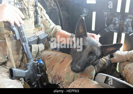 Le sergent de l'armée américaine. William Corcoran, un fantassin 1e Peloton de la compagnie Delta, 143e Régiment d'infanterie affecté à l'Équipe de reconstruction provinciale de Khost animaux Tosca, un chien de travail militaire affecté à la 4e Brigade Combat Team (Airborne), 25e Division d'infanterie, en route vers leur mission commune dans l'Est de l'Afghanistan. La Tosca handler est le sergent de l'US Air Force. Andrew Van Arb. Chien de travail militaire aide Khost PRT 656458 Banque D'Images