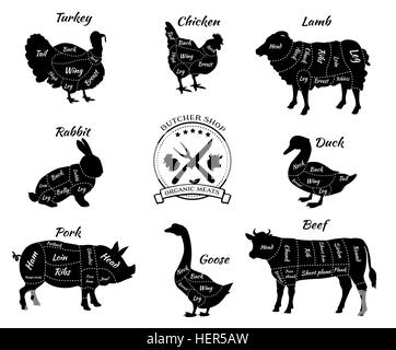 Définir un schéma d'animaux pour boucherie. La vache et le porc, les bovins et le porc, le poulet et l'agneau, boeuf, canard et lapin et Illustration de Vecteur