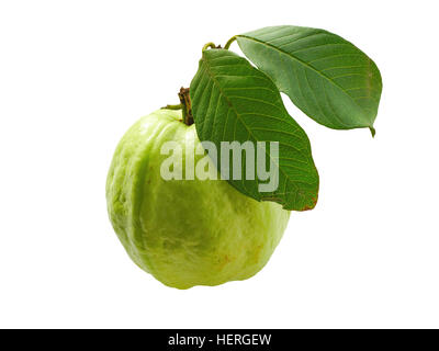 La goyave fruit isolé sur fond blanc Banque D'Images