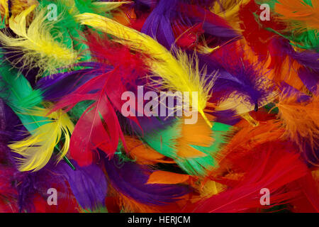 Arrière-plan de multi coloured feathers close up Banque D'Images