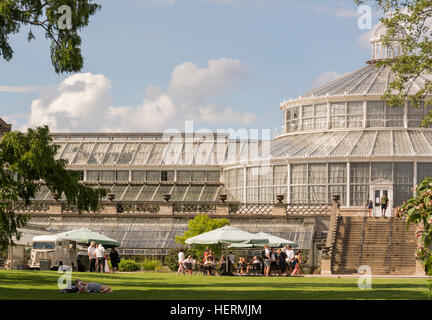 La grande serre du Jardin botanique de Copenhague, Danemark. Banque D'Images