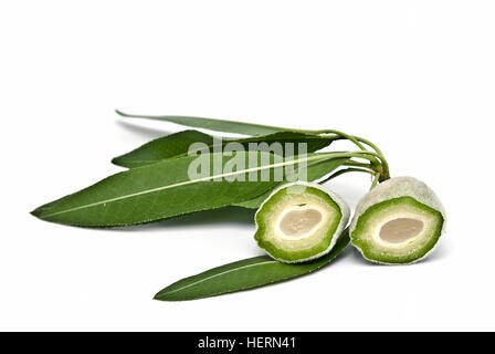Amandes brutes vert isolé sur un fond blanc. Banque D'Images