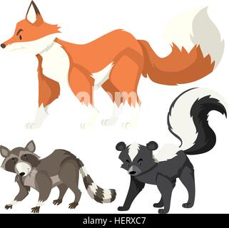 Trois types d'animaux sauvages sur blanc illustration Illustration de Vecteur