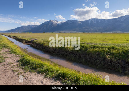 Canal d'irrigation dans la région de Carson Valley, Nevada Banque D'Images