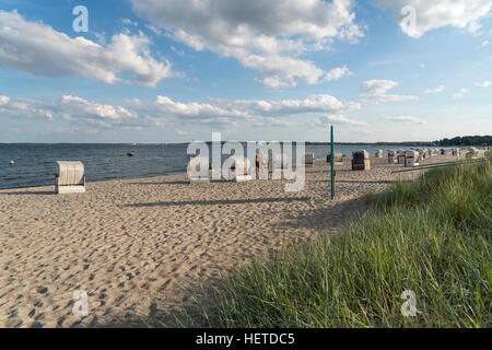 Baltic Beach près de Sierksdorf, baie de Lübeck, Schleswig-Holstein, Allemagne Banque D'Images