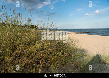 Baltic Beach près de Sierksdorf, baie de Lübeck, Schleswig-Holstein, Allemagne Banque D'Images