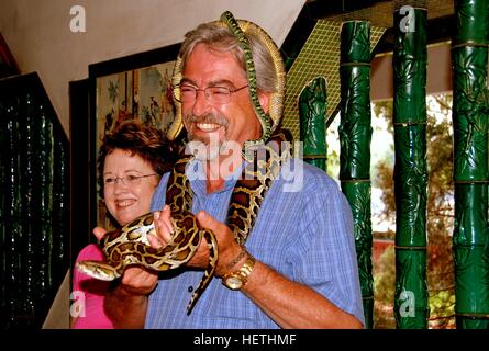 Penang, Malaisie - 10 janvier 2007 : Un visiteur de la célèbre 1851 Snake Temple pose avec certains des serpents vipère résident Banque D'Images