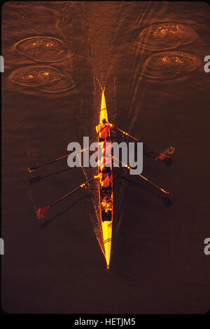 Une vue aérienne d'une équipe d'aviron de pratiquer sur une rivière en fin d'après-midi. Les avirons laisser cercles dans le noir de l'eau. Banque D'Images