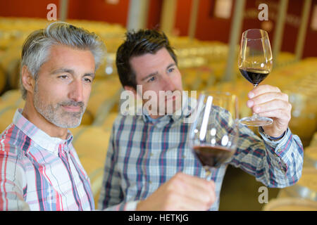 Les hommes l'instruction dans leurs verres de vin Banque D'Images