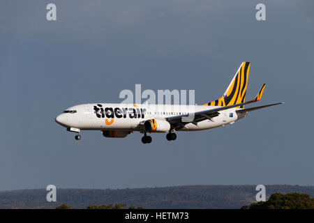 Tigerair airlines, Boeing 737 avions commerciaux, sur l'approche à l'atterrissage, Perth, Australie occidentale. Banque D'Images