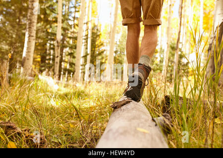 Man Walking on log, faible section, Flagstaff, Arizona, USA Banque D'Images