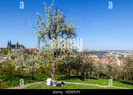 Panorama printanier du château de Prague vue romantique depuis Petrin Hill Arbre à fleurs de Prague République tchèque printemps Banque D'Images