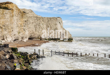 Au littoral Falaises Blanches à Seaford Head, East Sussex, England, UK Banque D'Images