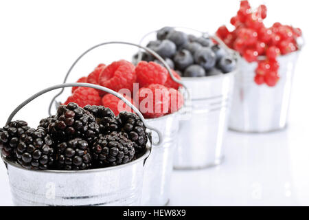 Quatre petits seaux galvanisés contenant des groseilles, framboises, bleuets et mûres Banque D'Images