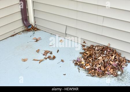 Un tas de feuilles portant sur le toit d'une maison à côté de la gouttière Banque D'Images