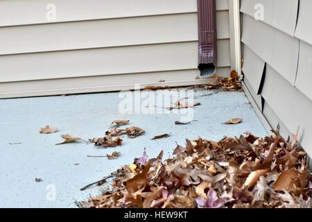 Un tas de feuilles portant sur le toit d'une maison à côté de la gouttière Banque D'Images