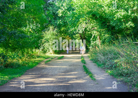 Un sentier le long de la Tamise entre Richmond Park, Teddington Lock à Londres. Banque D'Images