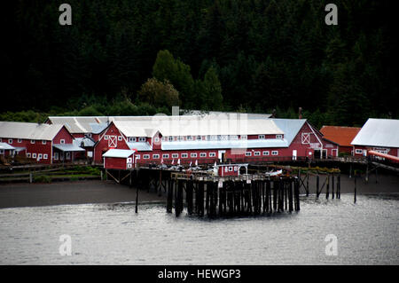 Icy Strait Point est une société privée de destination touristique juste en dehors du petit village de Hoonah, Alaska. Il est situé sur l'Île Chichagof et est nommé d'après la proximité de Icy Strait. Administré par Huna Totem Corporation, c'est la seule destination de croisière privée en Alaska comme la plupart des arrêts sont détenues par les villes dans lesquelles ils se trouvent. Société Huna Totem est administré par environ 1 350 Autochtones de l'Alaska avec les autochtones à Hoonah liens et le Glacier Bay area Nombre d'entre eux sont des Tlingit Banque D'Images