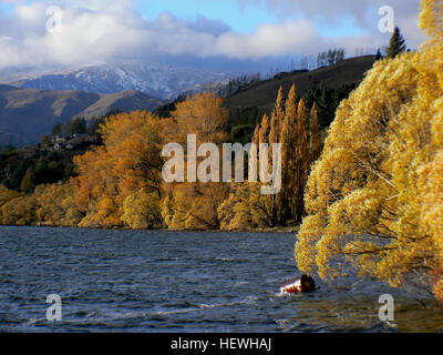 Le lac Hayes, situé dans l'île du Sud de Nouvelle-Zélande, près d'Arrowtown et Queenstown, est connu pour sa beauté pittoresque, surtout en automne lorsque le paysage se transforme avec des teintes dorées. Le lac est un endroit populaire pour les amoureux de la nature et les photographes. Banque D'Images