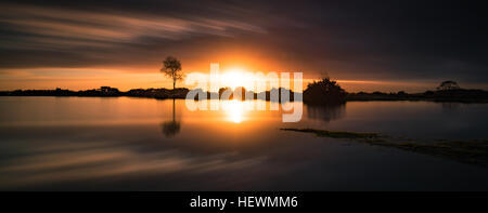 Le coucher du soleil le jour le plus court dans le New Forest Banque D'Images