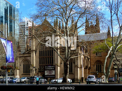 St Andrew's Cathedral est l'église cathédrale du diocèse anglican de Sydney, dans l'Église anglicane d'Australie. La cathédrale est le siège de l'archevêque anglican de Sydney et métropolitain de la Nouvelle Galles du Sud, le Très Révérend Glenn Davies, élu en août 2013. L'ancien doyen de Sydney était le très révérend Phillip Jensen (de 2003 à 2014). Le Doyen, nommé en mai 2015, est Rev. Kanishka Raffel. Situé dans le centre de Sydney, la cathédrale est l'une des ville les plus beaux exemples de l'architecture néo-gothique. Conçu par Edmund Blacket, il était prêt pour des services et consacrée en 1868 Banque D'Images