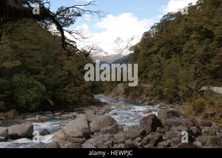 Ication (,),bateau,Parc,Fiordland Northland Nationial FlickrElite,Grand Pacific,tours,hautes falaises,Hollyford River,Jucy,Croisières Croisière déjeuner,Nouvelle-Zélande,Real Journeys' 'Southern cascades,découvertes,WILD LIFE,Danemark,world heritage site Banque D'Images