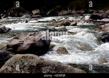 Ication (,),bateau,Parc,Fiordland Northland Nationial FlickrElite,de,l'eau qui coule,Grand Pacific Tours,hautes falaises,Hollyford River,Jucy,Croisières Croisière déjeuner,Nouvelle-Zélande,Real Journeys' 'Southern,découvertes,les chutes d'eaux douce,WILD LIFE,Danemark,world heritage site Banque D'Images