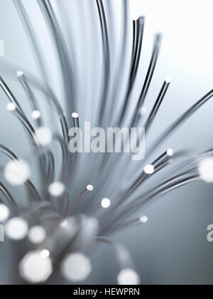 Faisceau de câbles de fibre optique Banque D'Images